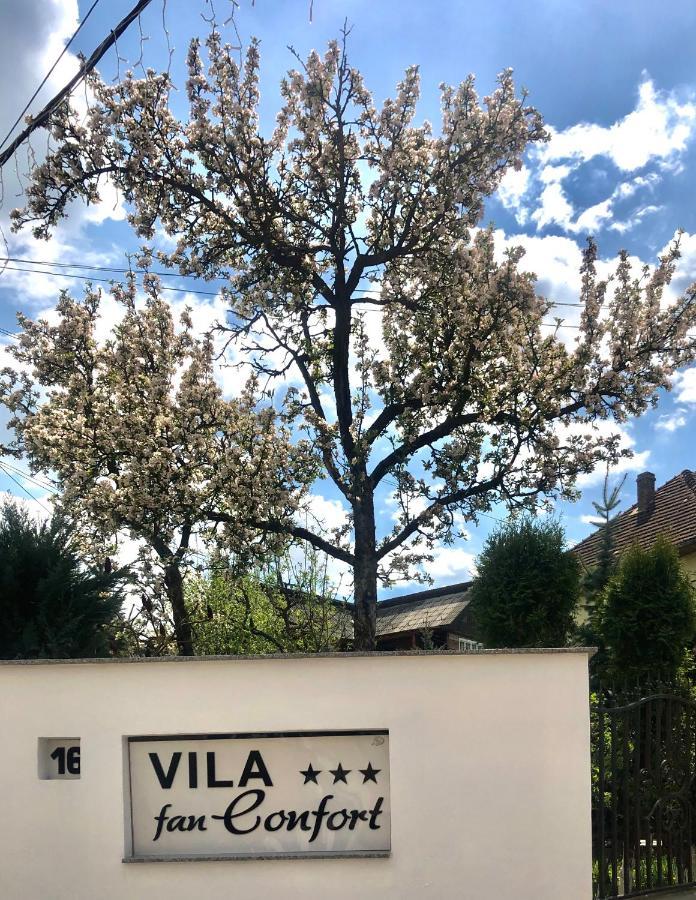 Vila Fan Confort Vişeu de Sus Exterior foto