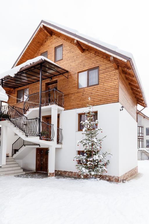 Vila Fan Confort Vişeu de Sus Exterior foto