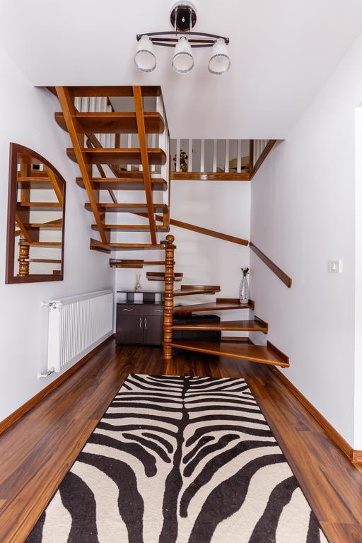 Vila Fan Confort Vişeu de Sus Exterior foto