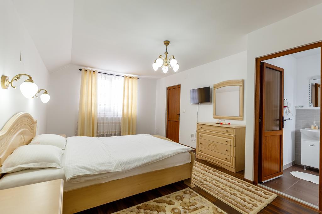 Vila Fan Confort Vişeu de Sus Exterior foto
