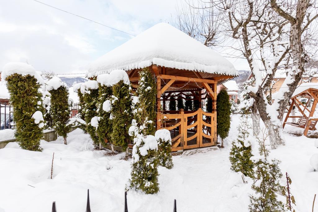 Vila Fan Confort Vişeu de Sus Exterior foto