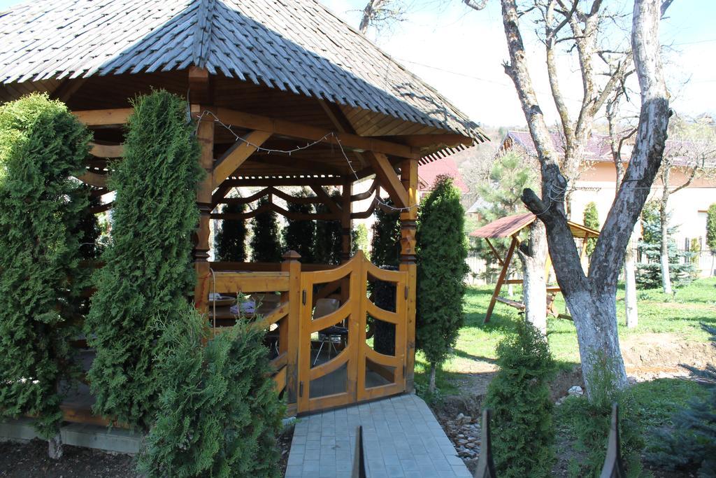 Vila Fan Confort Vişeu de Sus Exterior foto
