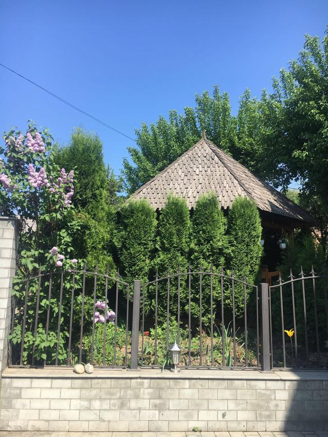 Vila Fan Confort Vişeu de Sus Exterior foto