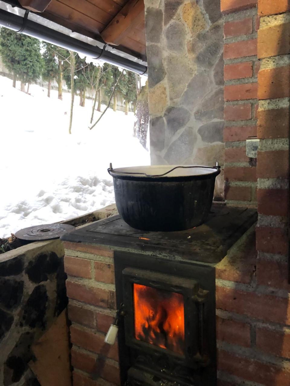 Vila Fan Confort Vişeu de Sus Exterior foto