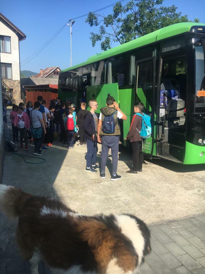 Vila Fan Confort Vişeu de Sus Exterior foto