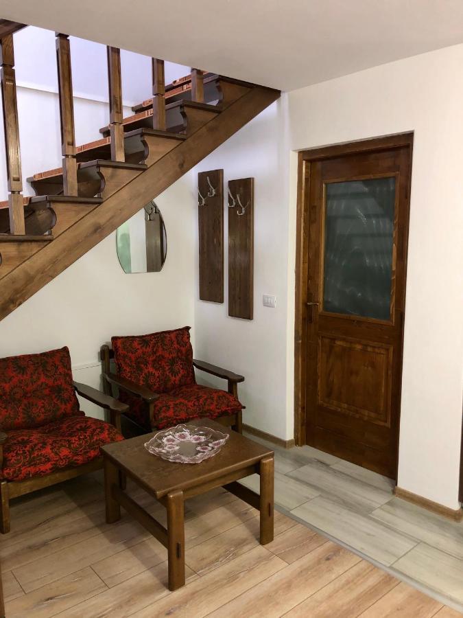 Vila Fan Confort Vişeu de Sus Exterior foto